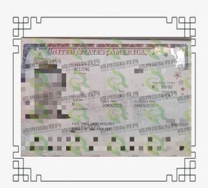 韩先生B2签证顺利获签